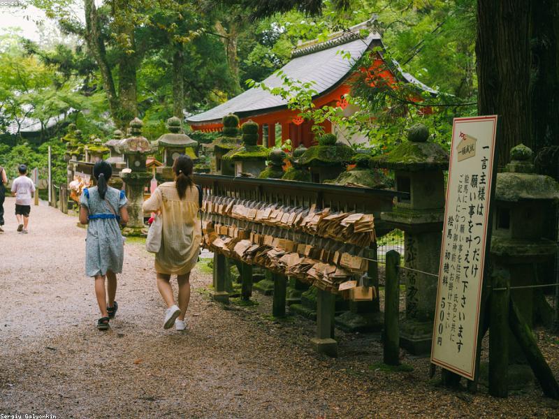 Itinerary Kansai 5 Hari 4 Malam: Panduan Lengkap Wisata Halal + Tips Hemat 2026 - Image 7