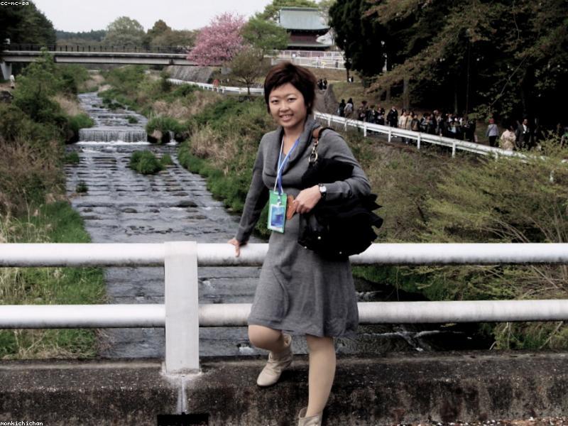 Panduan Wisata Sakura di Jepang: Musim Semi - Image 9
