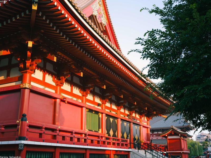 Itinerary Jepang 2026 Viral: Rute, Spot Instagramable & Tips Foto