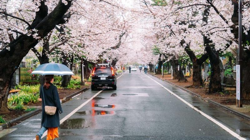 10 Penginapan Budget Ramah Muslim di Tokyo (Under ¥10.000/Malam) - Image 9
