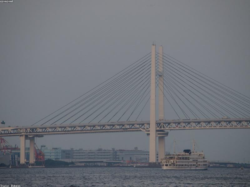 Yokohama Sea Paradise: Aquarium & Hiburan Keluarga Terbaik di Jepang 2026 - Image 10