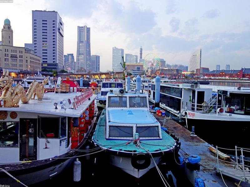 Yokohama Sea Paradise: Aquarium & Hiburan Keluarga Terbaik di Jepang 2026 - Image 2