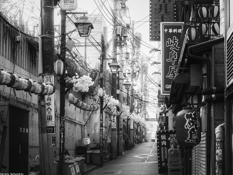 5 Museum Unik di Jepang 2026: Wisata Edukasi Ramah Muslim