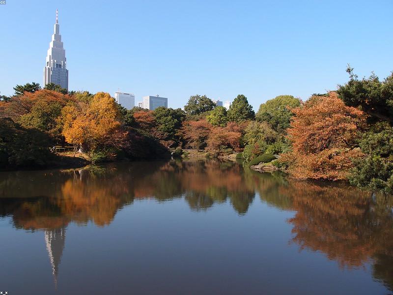 Belanja Kosmetik Jepang di Shinjuku
