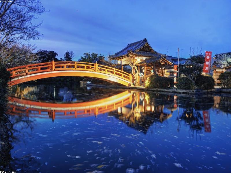 5 Kuil Tersembunyi di Kyoto 2026: Spot Fotogenik & Tips Kunjungan Wisatawan Muslim - Image 7
