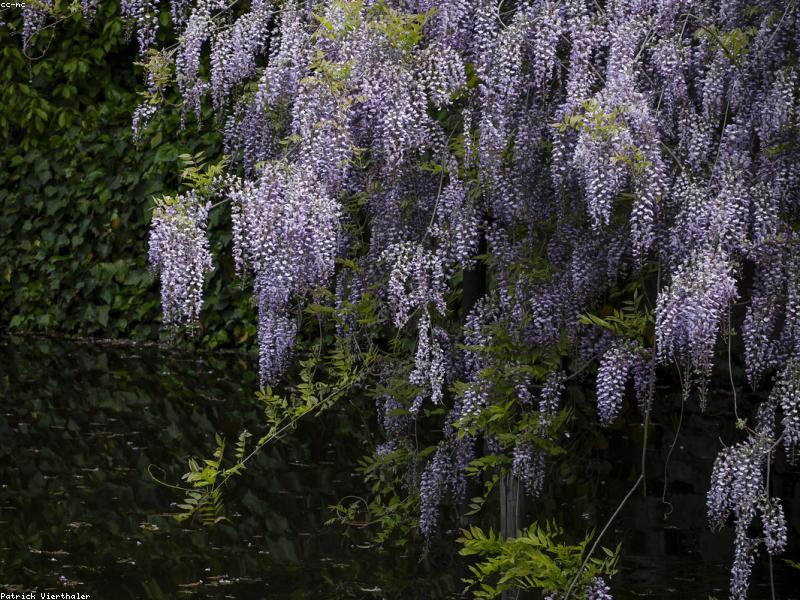 Air Terjun Tersembunyi di Jepang 2026: Hidden Gems Alam untuk