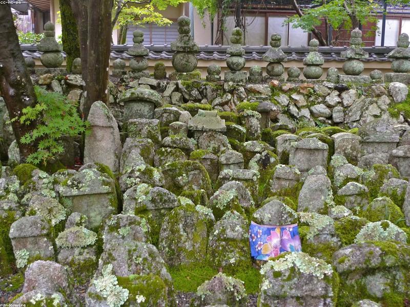 10 Spot Foto Tersembunyi di Jepang 2026: Hidden Gem Instagramable