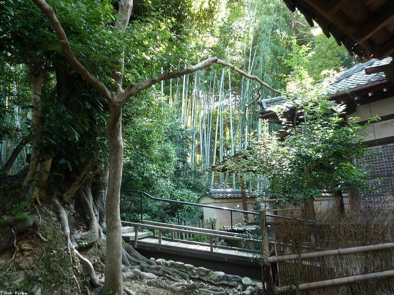 5 Kuil Tersembunyi di Kyoto yang Jarang Diketahui - Image 4