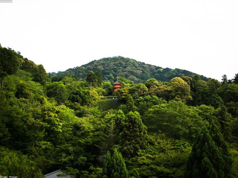 5 Kuil Tersembunyi di Kyoto 2026: Spot Fotogenik & Tips Kunjungan Wisatawan Muslim - Image 3