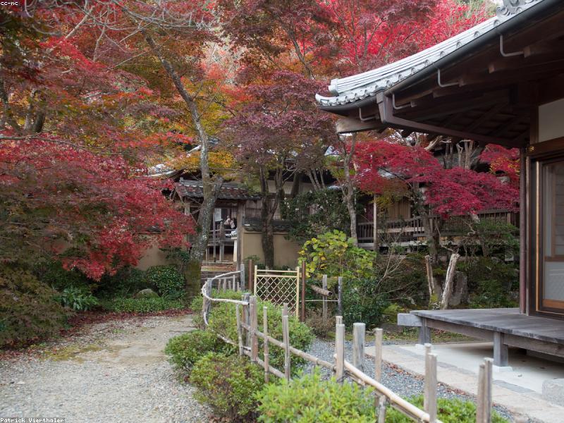 5 Kuil Tersembunyi di Kyoto 2026: Spot Fotogenik & Tips Kunjungan Wisatawan Muslim - Image 5