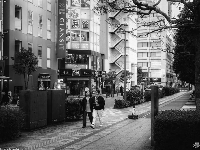 Taman Rahasia di Tokyo untuk Bersantai - Image 2