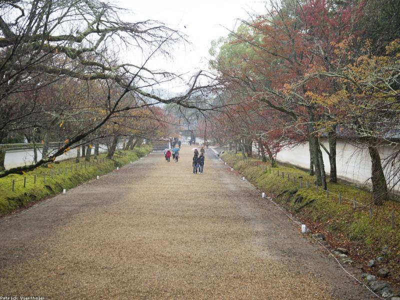 Ekowisata di Kyoto, Nara, dan Sekitarnya - Image 7