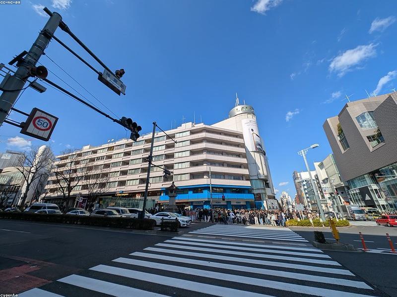 Visa Engineer & Highly Skilled Professional Jepang 2026