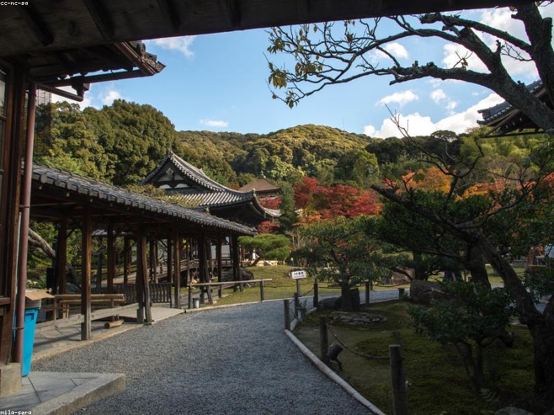 Tempat Wisata Rahasia di Kyoto Selain Kuil Populer - Image 5