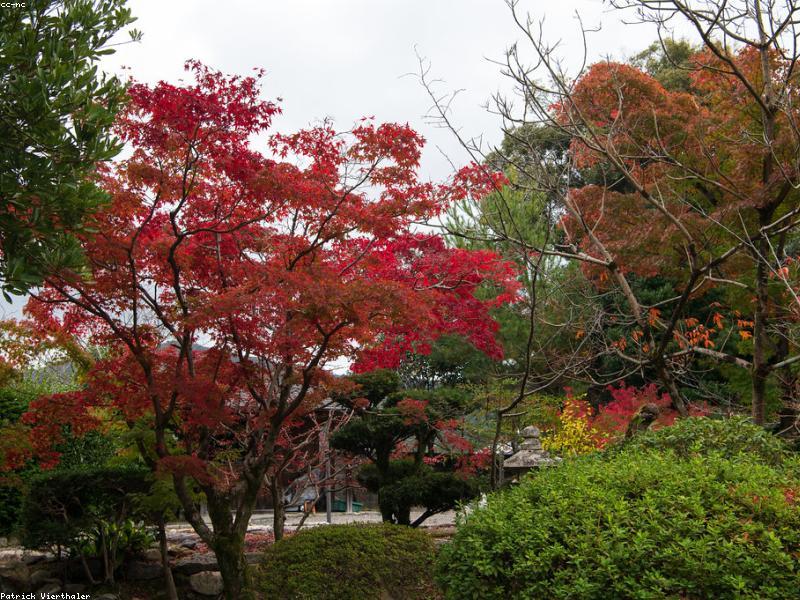 Tempat Wisata Rahasia di Kyoto Selain Kuil Populer - Image 7