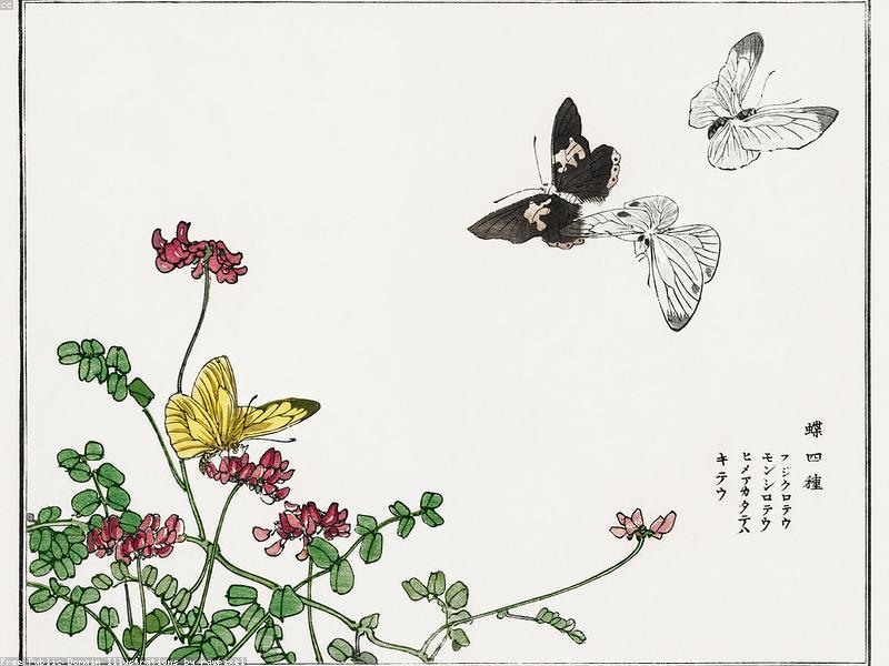 Panduan Menonton Kabuki: Teater Tradisional Jepang - Image 10