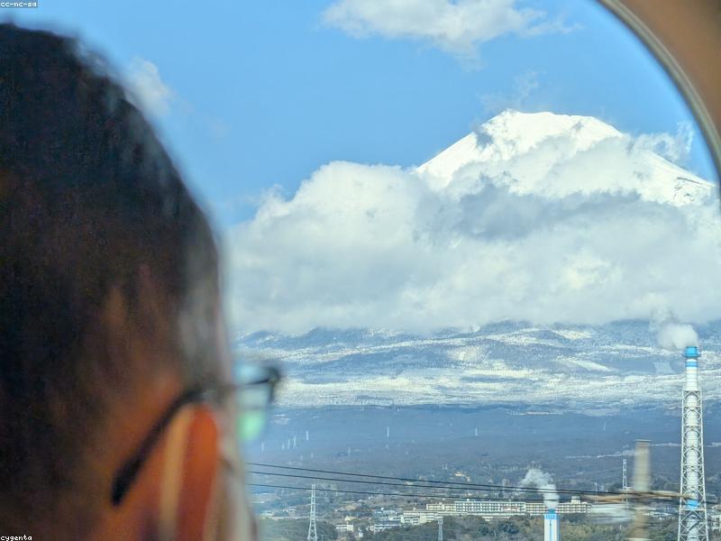 Paket Tour Halal Jepang 2027: Rekomendasi Travel Agent Muslim