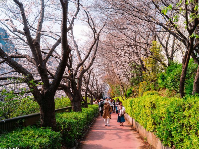 Biaya Hidup Jepang per Hari 2026: Makan ¥1.000, Transport ¥500