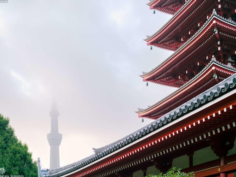 Panduan Pokémon Center Jepang 2026: Lokasi, Merchandise & Tips