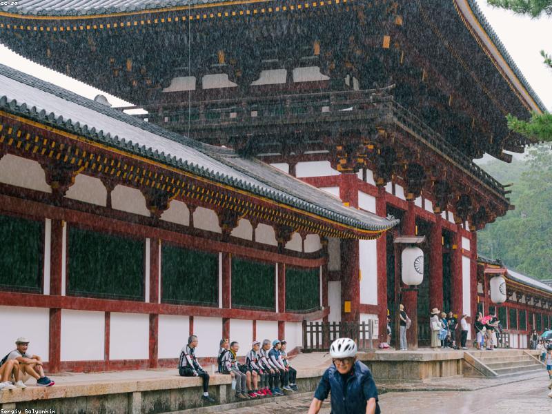 Ryokan Tradisional Jepang 2026: Pengalaman Unik