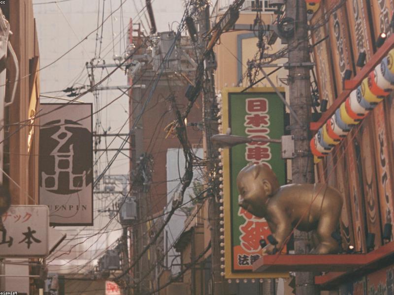Perjalanan Sehari ke Nara dari Osaka/Kyoto - Image 10
