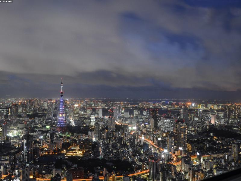 7 Aplikasi Wajib di Jepang untuk Turis Indonesia 2026: Navigasi, Halal & Komunikasi - Image 4