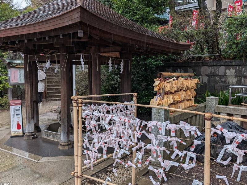 10 Hotel Murah Kyoto Dekat Stasiun 2026: Under ¥10.000