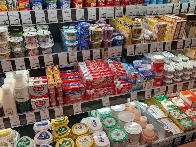 Jepang vs Korea untuk Liburan 2026: Perbandingan Biaya, Makanan & Budaya - Image 3