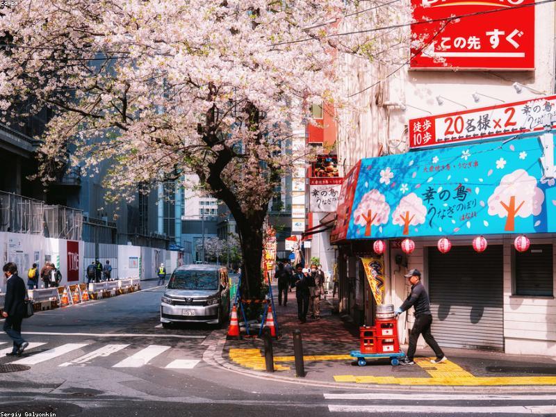 Wisata Jepang Musim Gugur 2026: Spot Momiji, Festival & Aktivitas Wajib - Image 3