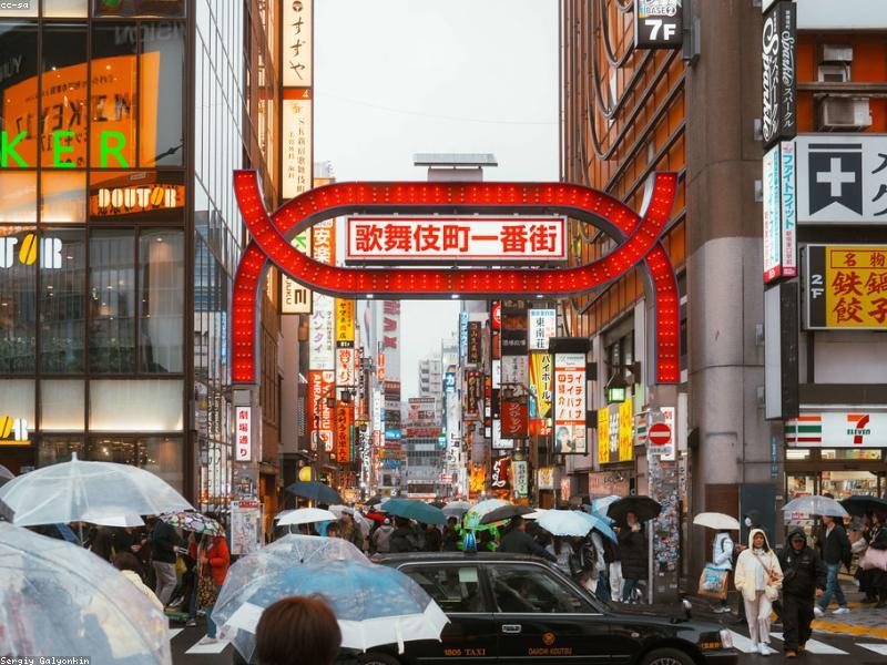 Wisata Jepang Musim Gugur 2026: Spot Momiji, Festival & Aktivitas Wajib - Image 6