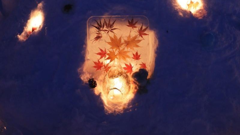 Wisata Musim Dingin Hokkaido 2026: Blue Pond, Iluminasi & Panduan Halal Lengkap - Image 10
