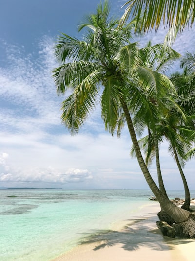 Resort Halal di Okinawa