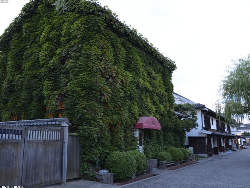 Studio Ghibli Museum Tips untuk Muslim