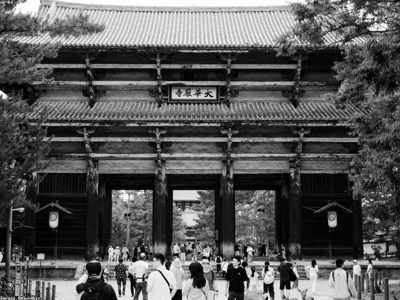 Panduan Belanja di Dotonbori, Osaka untuk Wisatawan - Image 9