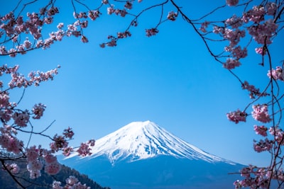 Perjalanan Sehari ke Gunung Fuji dari Tokyo