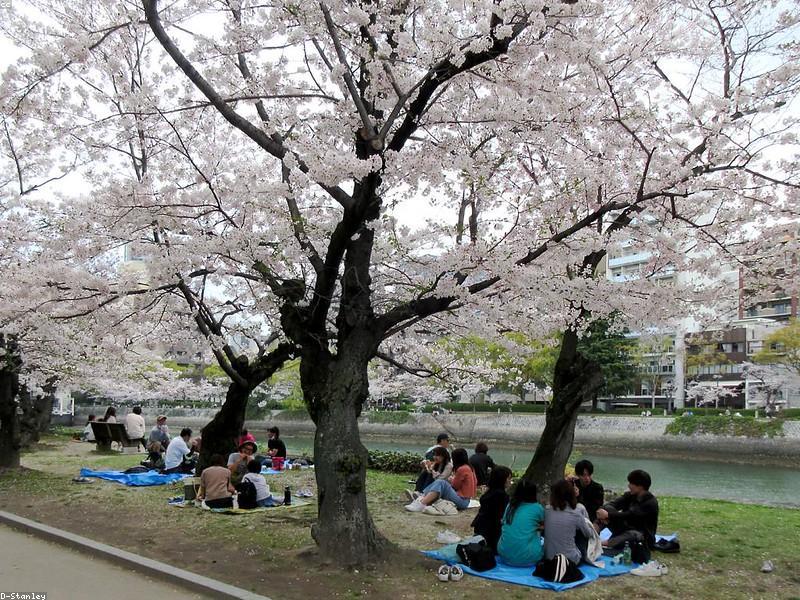 Hotel Halal di Hiroshima Dekat Peace Park - Image 5