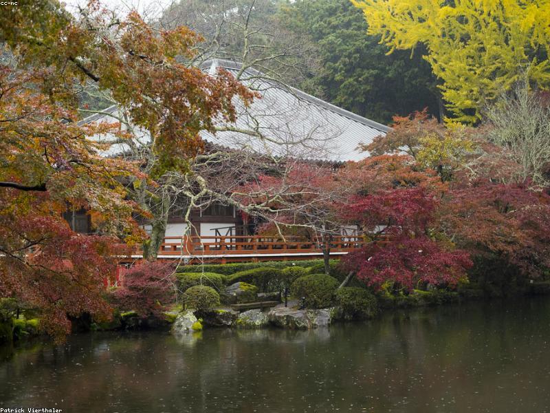 Wisata Budaya Tradisional di Kyoto - Image 5