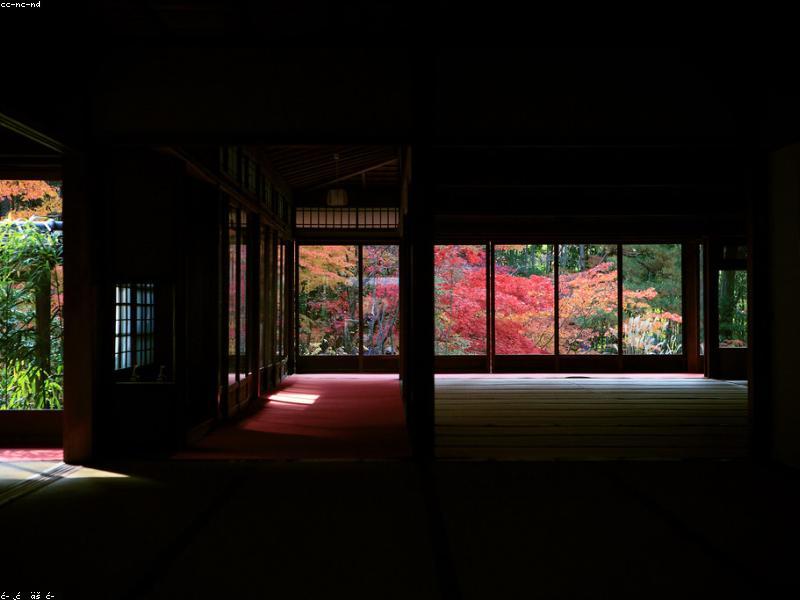 Wisata Budaya Tradisional di Kyoto - Image 8