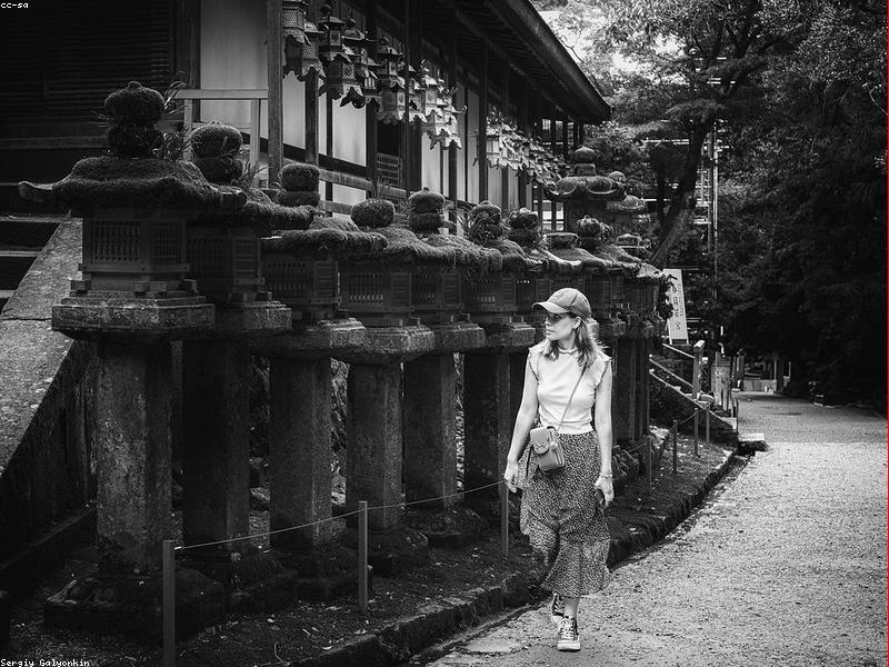 Budaya Taman Jepang 2026: 7 Taman Zen untuk Muslim