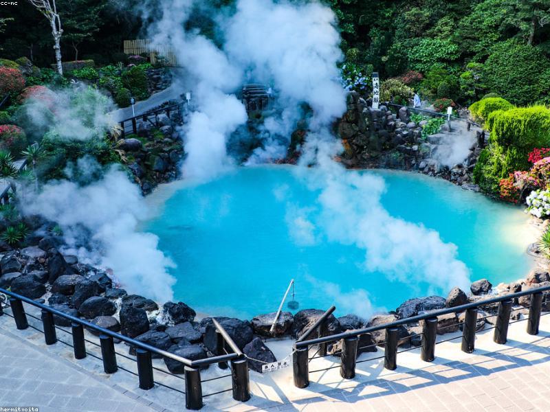 Sumo: Olahraga Tradisional Jepang - Image 10
