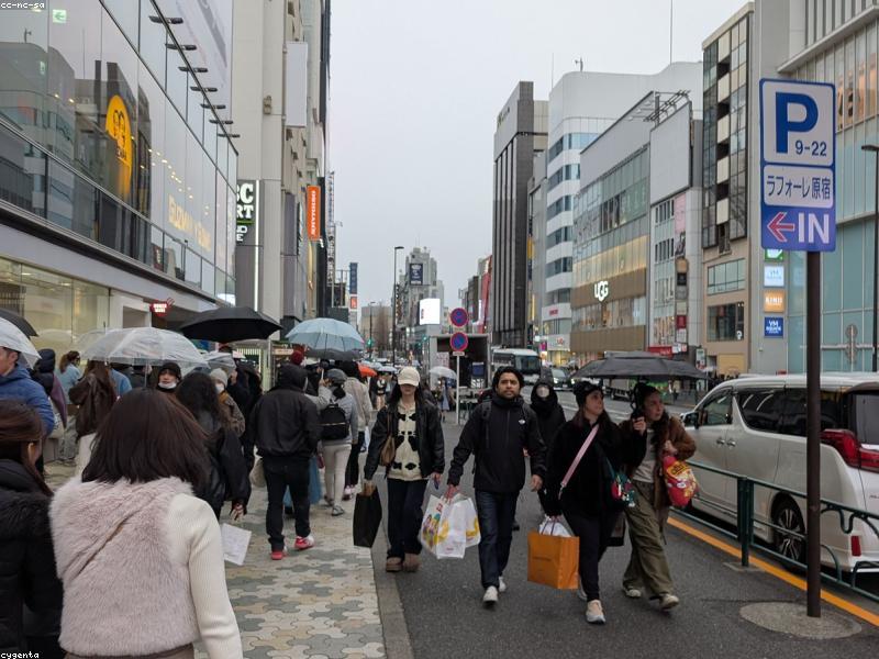 Akihabara anime store